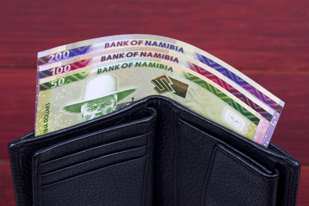 Namibian dollar in the black wallet